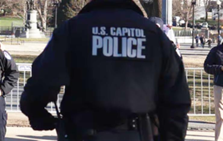 US Capitol Police Arrest Man with Torch and Flare Gun on Election Day ...
